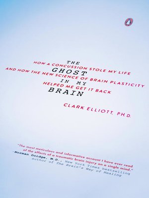 cover image of The Ghost in My Brain